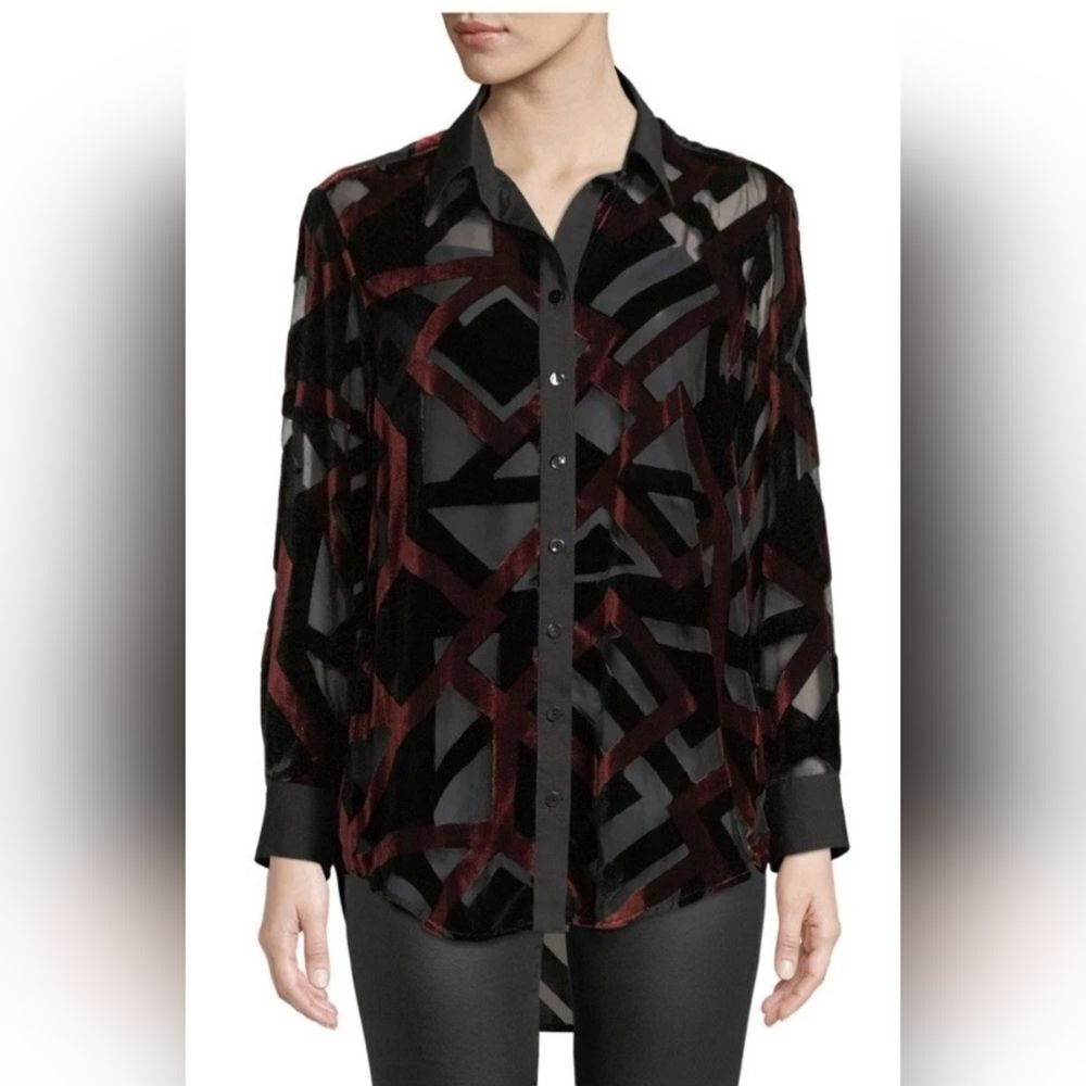 Finley Monica Velvet Devore Shirt Button Down Oversize Art To Wear Sheer size L